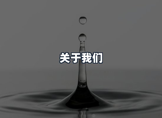 关于我们
