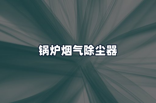 锅炉烟气除尘器